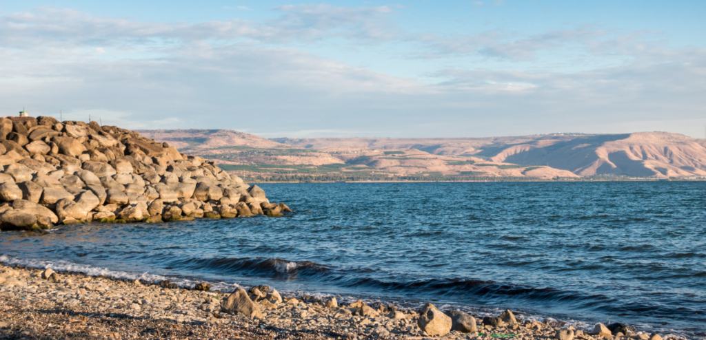 Galilee of the Nations: A Reflection on the Redemption, Intercessory Worship, and the Priestly Call of Believers - By: Chaim Malespin