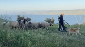 The Lord Is My Shepherd: Ancient Resonances and the Dimensional Shift